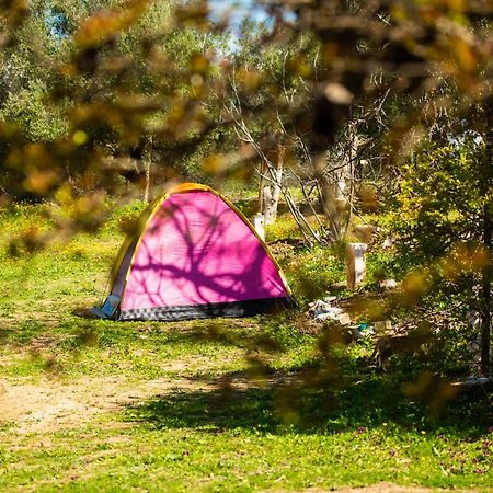 Camping Panorama Hotel Ouazzane Buitenkant foto