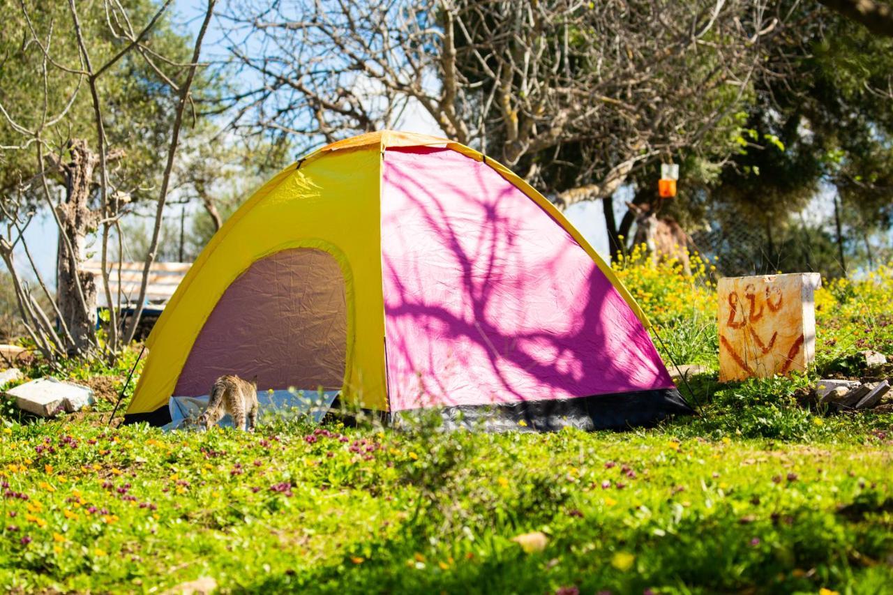 Camping Panorama Hotel Ouazzane Buitenkant foto
